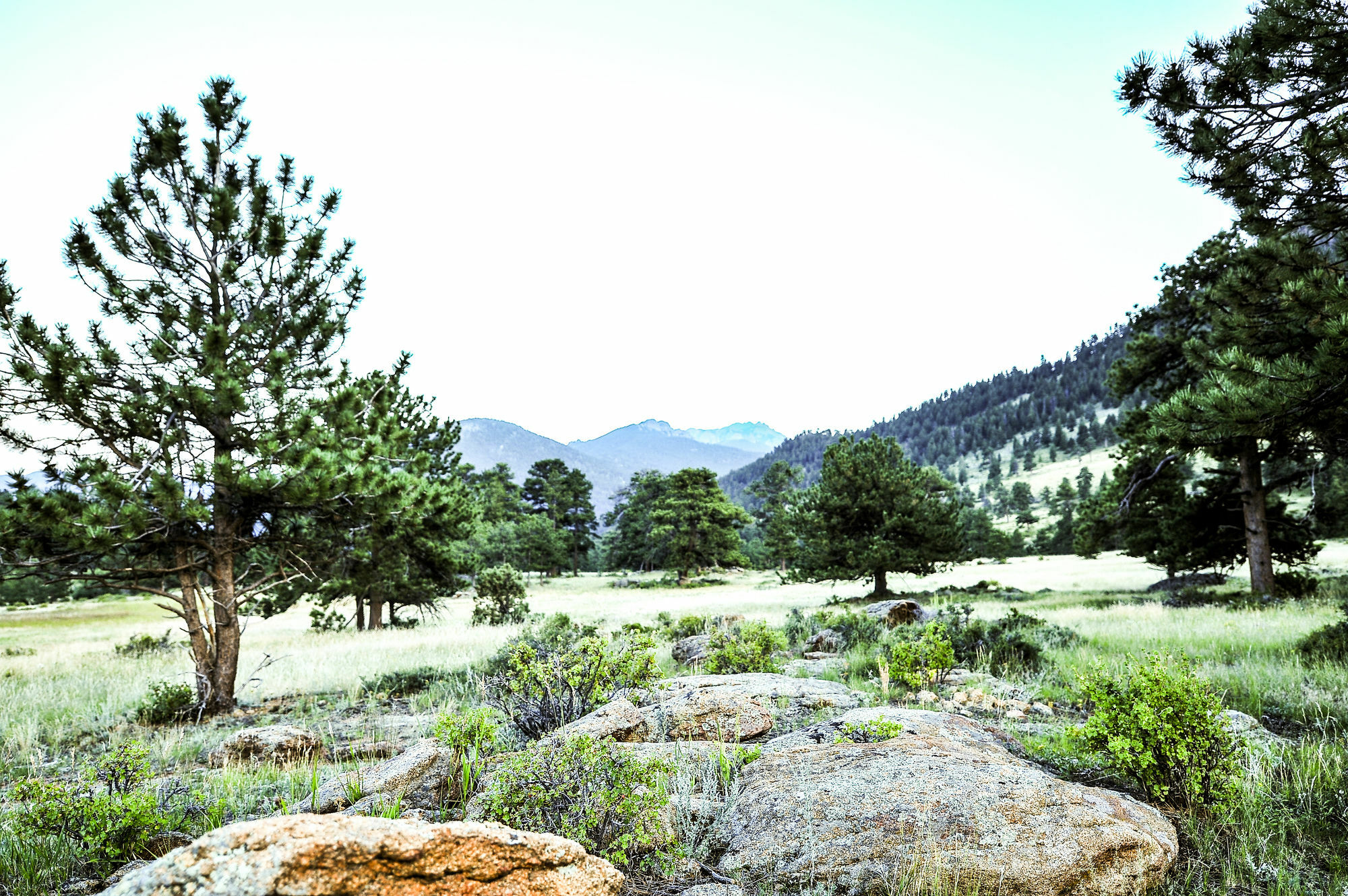 The Historic Crag'S Lodge استيس بارك المظهر الخارجي الصورة
